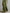 Women's Olive Silky Stretchy Dress With Deep V-Neck & Ruched Detail, Glamorous Maxi Dress MDA0509L8I