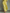 Women's Lemon Yellow Cotton And Linen Blend Maxi Shirt Dress With Tie Waist & Half Sleeves MDZ2884A4T