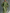Women's Light Green Cold-Shoulder Maxi Dress With Oversized Puff Sleeves & Side Pockets MDZ1004B7T