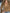 Casual Vintage Western Button Front Tassel Long Sleeve Light Brown Fuax Suede Shirt Top