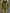 High-end Fashionable Leopard Print Velvet Faux Fur Collar Sweatshirt Wide-leg Pants Suit
