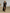Women's Imitation Cotton And Linen Pleated Lapel Single-breasted Long-sleeved Maxi Dress MDA1968G0Y