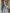 Tencel Denim Midi Dress With Tie Design