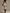 Minimalist Beige Knit Bodycon Midi Dress