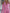 Fashionable Personalized Lapel Pink Denim Off-the-shoulder Long-sleeved Flared Jumpsuit