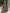 Camouflage Ruffle Long Sleeve Hooded Mini Dress