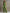 Casual Retro Green Cotton Linen Sleeveless Zip-up Shirt And Wide-leg Pants Set