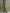 Casual Retro Green Cotton Linen Sleeveless Zip-up Shirt And Wide-leg Pants Set