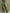 Casual Retro Green Cotton Linen Sleeveless Zip-up Shirt And Wide-leg Pants Set