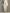 Women's Cream Elegant Faux Mink Knit Asymmetric Slit Midi Dress MDA0245I2I