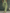 Women's Light Green Cotton And Linen Blend One-Shoulder Wide-Leg Jumpsuit With Tie Waist MDZ3136A8T