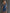 Lapel Collar Zip-up Double-pocket Off-the-shoulder Denim Mini Dress