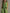 Casual Retro Green Cotton Linen Sleeveless Zip-up Shirt And Wide-leg Pants Set