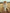 Vintage Western Cowboy Off-White Faux Denim Half-Zip Tassel Long-Sleeved Maxi Dress