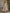 Retro Elegant Pink Floral Off-white Short-sleeved Square Neck Chiffon Maxi Dress
