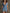 Western Retro Blue Faux Suede Tassel Hollow-Out Short-Sleeved Mini Dress