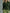 Trendy Retro Sporty Green Velvet Top And Leopard Print Wide-leg Pants Set