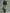 Trendy Retro Sporty Green Velvet Top And Leopard Print Wide-leg Pants Set