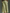 Women's Olive Green Linen Fabric Sleeveless Midi Dress With Cargo Pockets & Belted Waist MDZ2753A1T