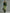 Trendy Retro Sporty Green Velvet Top And Leopard Print Wide-leg Pants Set