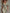 Retro Floral Ruched V-Neck Maxi Dress