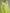 Casual Loose-fitting Green Knitted Mini Dress