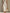 Cotton-Linen Midi Dress With Diagonal Placket And Piping