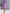 Elegant Contrasting Color Tweed Two-piece Set