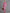Casual Sporty Retro Pink Velvet Leopard Print Sweatshirt And Wide-Leg Pants Set