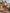 Rowan Cherry Red Cargo Denim Shorts Effortless Summer Energy