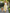 Casual Fashion White Cotton-Linen One-Shoulder Top And Light Yellow Pants Set