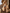 Elowen Lace Boho Maxi Duster Dress Ethereal Desert Goddess Statement Style
