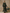 Retro Silhouette Printed Green Faux Suede Tassel Maxi Dress