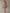 Retro Sporty Style Checkered Trim Powder Pink Sweatshirt Mini Dress
