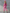 Stylish And Modern Long-sleeved Strappy Tapered Legs Pink Denim Jumpsuit