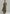 Women's Elegant Brown Woven Cotton-linen Long-sleeved Shirt Collar Jumpsuit With Belt MDA1965L9AN