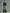 Trendy Retro Sporty Green Velvet Top And Leopard Print Wide-leg Pants Set