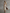 Elegant Vintage-print Off-white Faux Suede Hooded Maxi Dress
