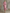Elegant And Gentle Pink Faux Leather Midi Dress