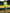 Fluorescent Green Embroidered Hooded Sweatshirt Lantern Skirt Sports Set