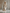 Fashionable Loose Hooded Polar Fleece Sleeve Beige Sweatshirt Midi Dress