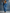 Casual Loose-fit Hooded Blue Denim Button-front Long-sleeved Jumpsuit