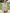 Vintage Fashion Sporty Long-sleeved POLO Top And Waist Pinstripe Pleated Skirt Set