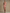 Western Retro Leopard Print Pink Faux Suede Zipper Tassel Midi Dress