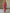 Casual Loose Rose Red Chiffon Leopard Print Long-Sleeved Jumpsuit