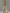 Vintage Brown Cow Print White Chiffon Sleeveless Maxi Dress