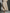 Women's Modern Linen Blend Beige Stand-Collar Half-Sleeve Contrast-Line Pocketed Maxi Dress  MDA2924L4AU