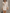 Women's Slim Fit Cotton Ivory Feather Trim Deep V Mini Dress MDA0123L7AU