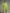 Casual Loose-fitting Green Knitted Mini Dress