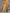 Casual Sporty Retro Leopard Print Trim Yellow Velvet Sweatshirt Wide-Leg Pants Set